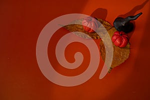 Plasticine pumpkins and a witch`s magic hat on autumn leaves on an orange background-Halloween symbols