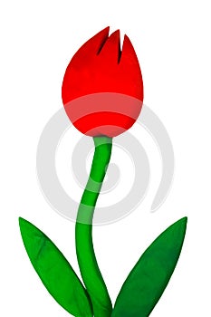 Plasticine tulip flower