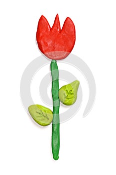 plasticine tulip flower isolated on white