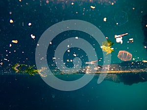 Plastics and trashes in sea making pollution