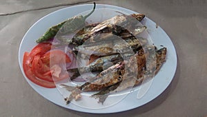 Plat of Moroccan grilled Sardines