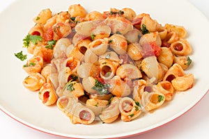 Plate of arrabbiata pasta elbows