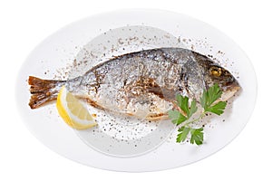 Plate of baked fish isolated on white background