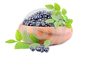 Plate with bilberries