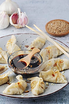 A plate of boiled jiaozi with dipping sauce