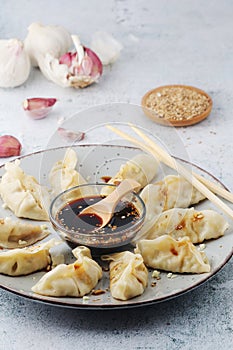 A plate of boiled jiaozi with dipping sauce