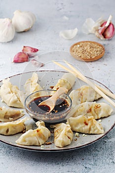 A plate of boiled jiaozi with dipping sauce