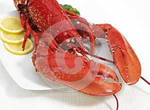 Plate with Boiled Lobster, homarus gammarus and Lemon