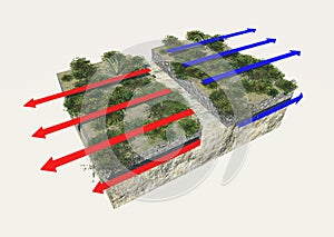 Plate boundaries, divergent boundaries, earthquake