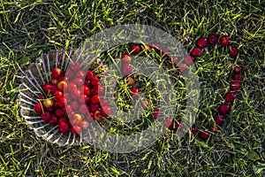 Plate with cherry and cherry heart