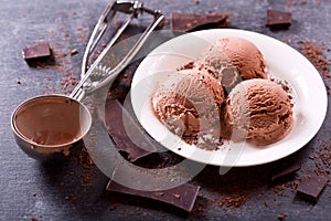 Plate of chocolate ice cream scoop