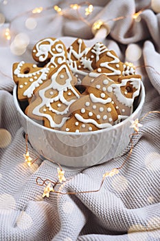 Plate with Christmas cookies on the cosy plaid