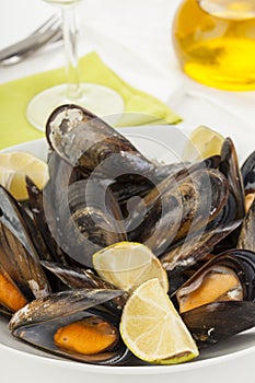 Plate of coocked mussels with lemon over white