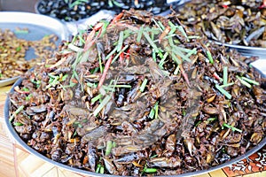 Plate of cooked insects sold in a Cambogian street market