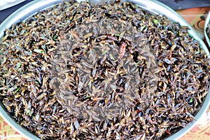 Plate of cooked insects sold in a Cambogian street market