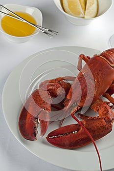Plate with cooked lobster