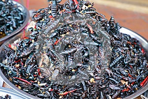 Plate of cooked scorpions sold in a Cambogian street market