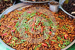 Plate of cooked worms sold in a Cambogian street market