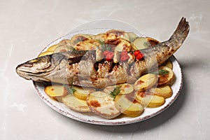 Plate with delicious baked sea bass fish and potatoes on light table