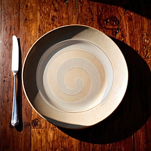 Plate , empty ceramic utensil for carrying and serving food