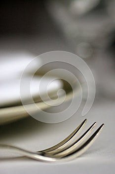 Plate and fork,