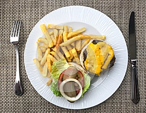 Plate with French fries and a hamburger