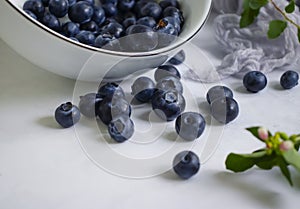 Plate with fresh blueberries   season   concept  antioxidants  a light background