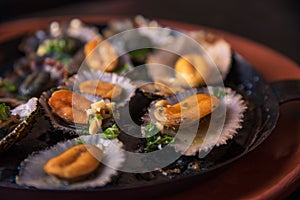 Plate of fresh limpets photo