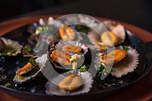 Plate of fresh limpets photo