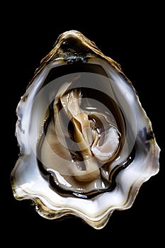 plate with fresh mussles