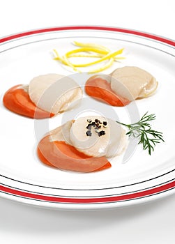 Plate with Fresh Scallops and Dill, pecten maximus against White Background