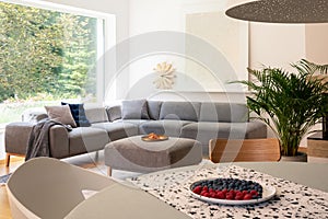 Plate with fruits placed on table in blurred foreground in real photo of bright living room interior with window and corner lounge