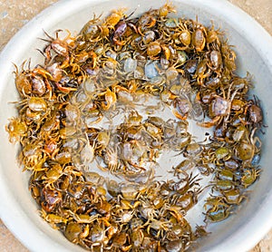 Plate full of crabs at the market in Ben Sung Vietnam.