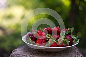 A plate full of fresh strawberries picked from the village garden. photographed in natural light with blurred wooden background