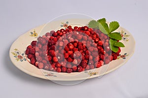 Plate full of wild strawberries