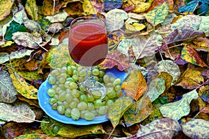 A plate with grapes and a glass with a red drink stand on yellow leaves