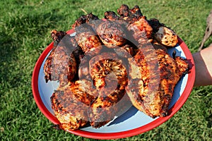 Plate of grilled chicken 2