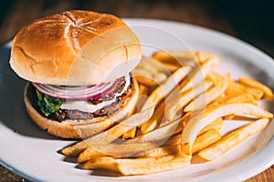 A plate of hamburger and fries