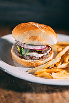 A plate of hamburger and fries