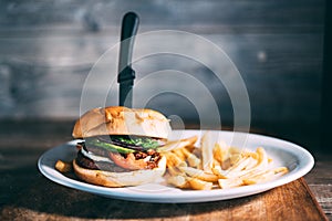 A plate of hamburger and fries