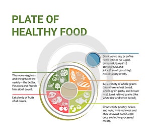 Plate of healthy food. Illustration with captions. Healthy plate. Vector illustration. Labeled educational food example scheme