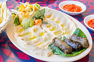 Plate of humus, salad and sauces photo