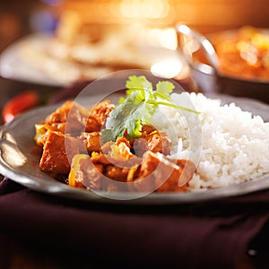 Plate of indian chicken vindaloo photo