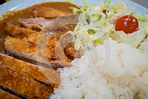 A Plate of Japanese Katsudon with Salad