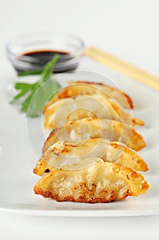 Plate of Juicy Chinese Fried Potstickers