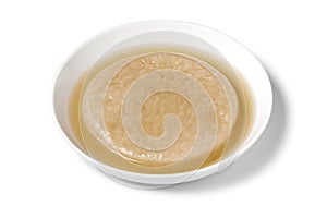 Plate with a Kombucha tea mushroom, scoby to produce Kombucha drink isolated on white background