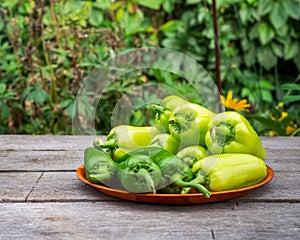 Plate with large green peppers on a wooden unpainted table in a r garden