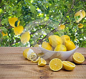 Piatto limoni sul di legno tavolo Attraverso un albero 