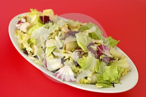 Plate of mixed salad