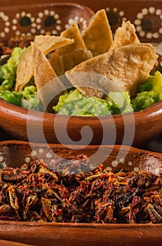 Plate with multiple edible insects, traditional Mexican food